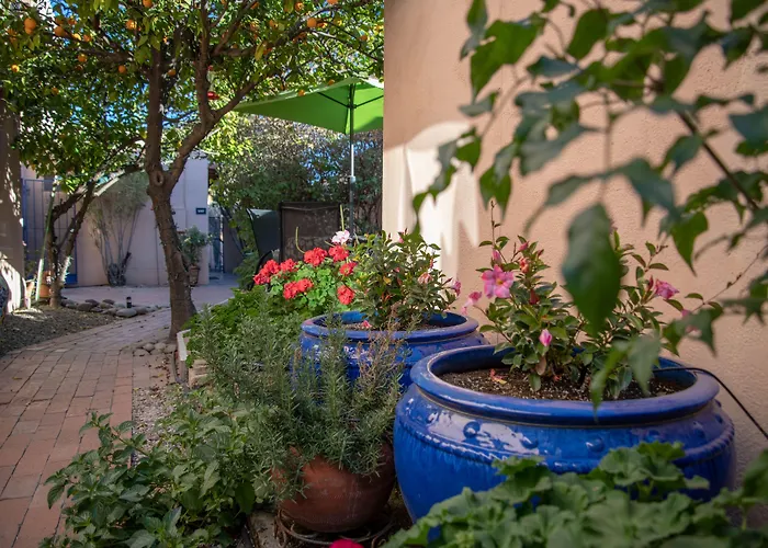 Adobe Rose Tucson
