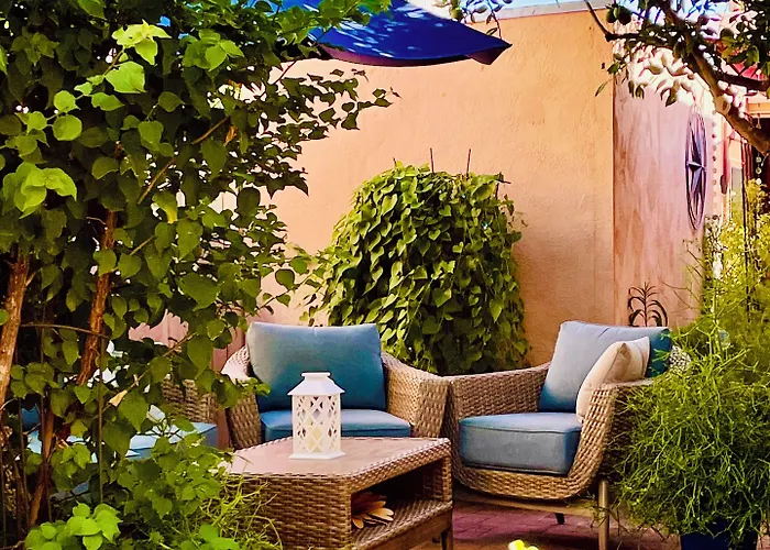 Adobe Rose 3*