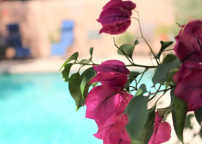 Adobe Rose 3* Tucson